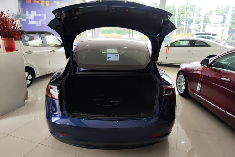 特斯拉 Model 3 2019款 标准续航后驱升级版局部细节23