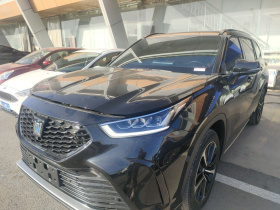 丰田 皇冠陆放 2021款 2.5L HEV四驱旗舰版