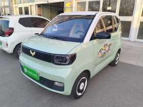 五菱汽车 宏光MINIEV 2021款 马卡龙时尚款 三元锂