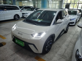 比亚迪 海鸥 2025款 305km 自由版