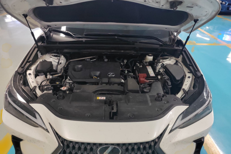 雷克萨斯NX 2023款 260 前驱 创驰版机舱底盘24