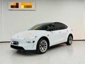 特斯拉 Model Y 2025款 后轮驱动 首发版