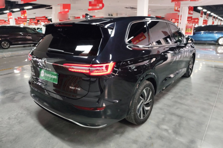 大众 威然 2024款 380TSI 尊驰版车身外观6005