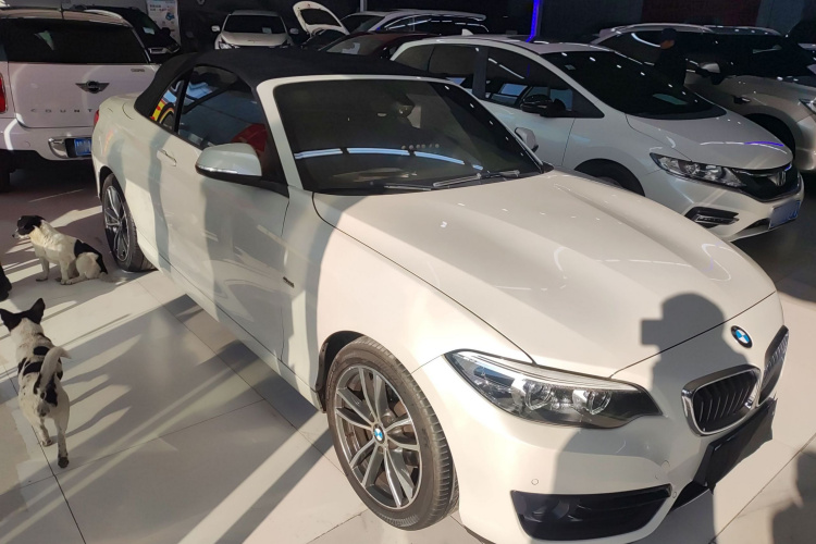 宝马2系(进口) 2018款 220i 敞篷轿跑车 运动设计套装车身外观3