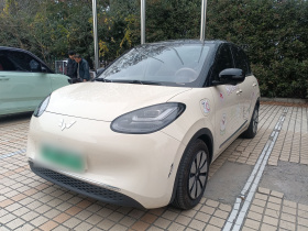 五菱汽车 五菱缤果 2025款 410km 灵犀尊享款