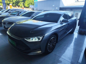 比亚迪 汉 2020款 DM 四驱性能版豪华型