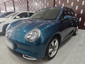 欧拉好猫 2021款 400km标准续航 维纳斯版 三元锂