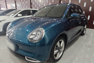 欧拉好猫 2021款 400km标准续航 维纳斯版 三元锂