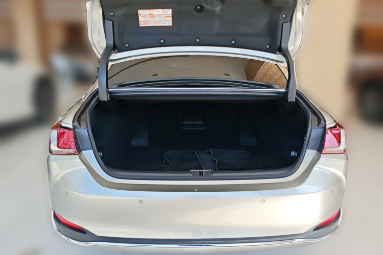 雷克萨斯ES 2021款 300h 行政版局部细节23