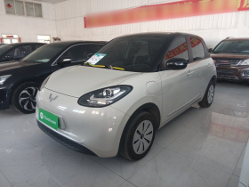 五菱汽车 五菱缤果 2024款 203km 轻享款