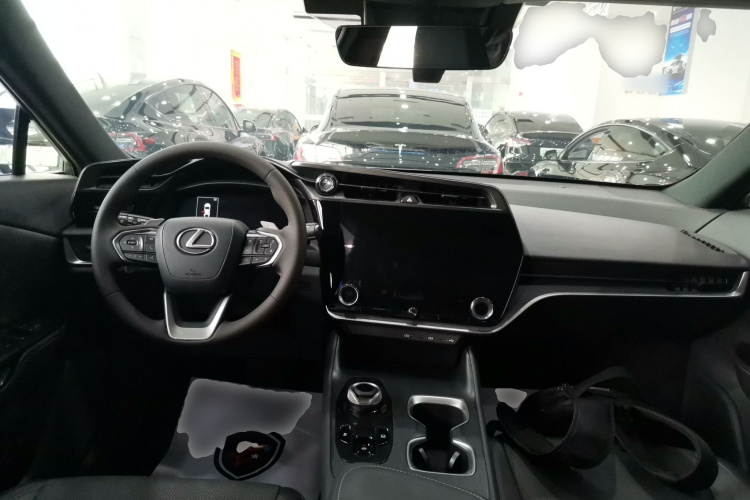 雷克萨斯RZ 2023款 450e 四驱纵享版中控内饰12