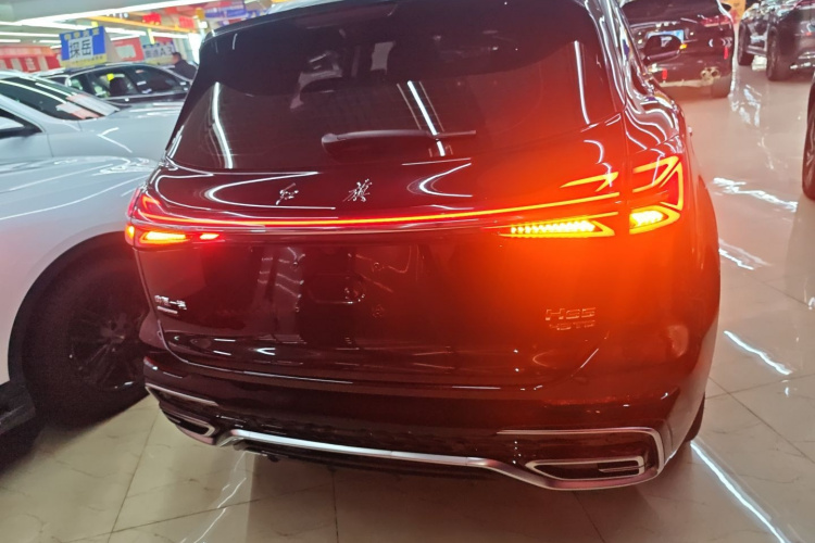 红旗HS5 2023款 2.0T 四驱旗享Pro版车身外观6