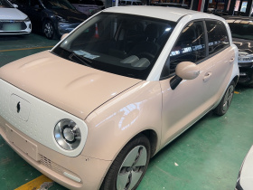 欧拉黑猫 2021款 301km 基础型