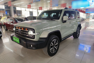 坦克300 2021款 城市版 2.0T 很有型