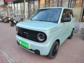 吉利银河 2023款 熊猫mini 200km 耐力熊