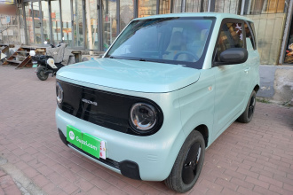 吉利银河 2023款 熊猫mini 200km 耐力熊