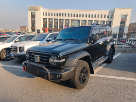 坦克300 2024款 2.0T 征服者