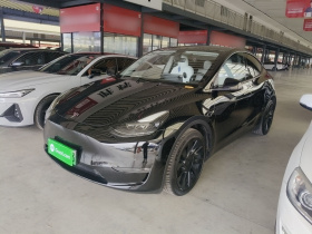 特斯拉 Model Y 2021款 长续航全轮驱动版 3D7