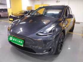 特斯拉 Model Y 2024款 长续航全轮驱动版