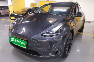 特斯拉 Model Y 2024款 长续航全轮驱动版