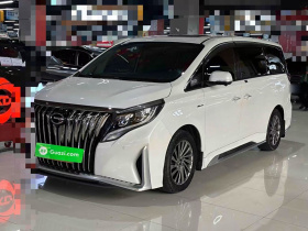 广汽传祺 传祺M8 2021款 大师系列 390T 至尊版