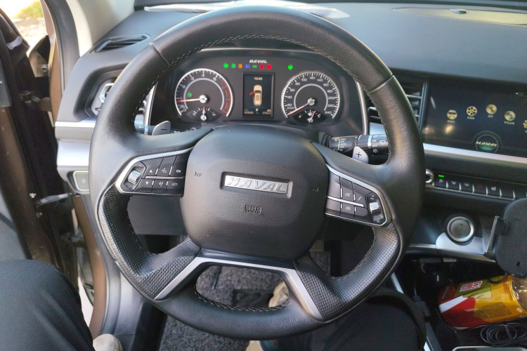 哈弗H6 2017款 蓝标 2.0T 自动两驱风尚型局部细节13