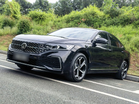 大众 帕萨特 2025款 出众款 380TSI 星空龙腾版