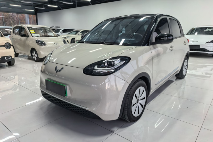 五菱汽车 五菱缤果 2023款 203km 轻享款车身外观1