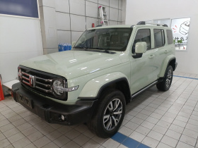 坦克300 2024款 2.0T 穿越者