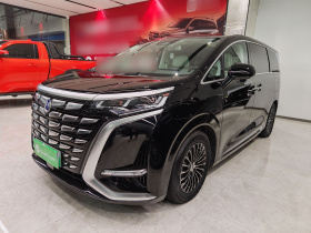 腾势D9 2024款 DM-i 980 四驱尊荣型