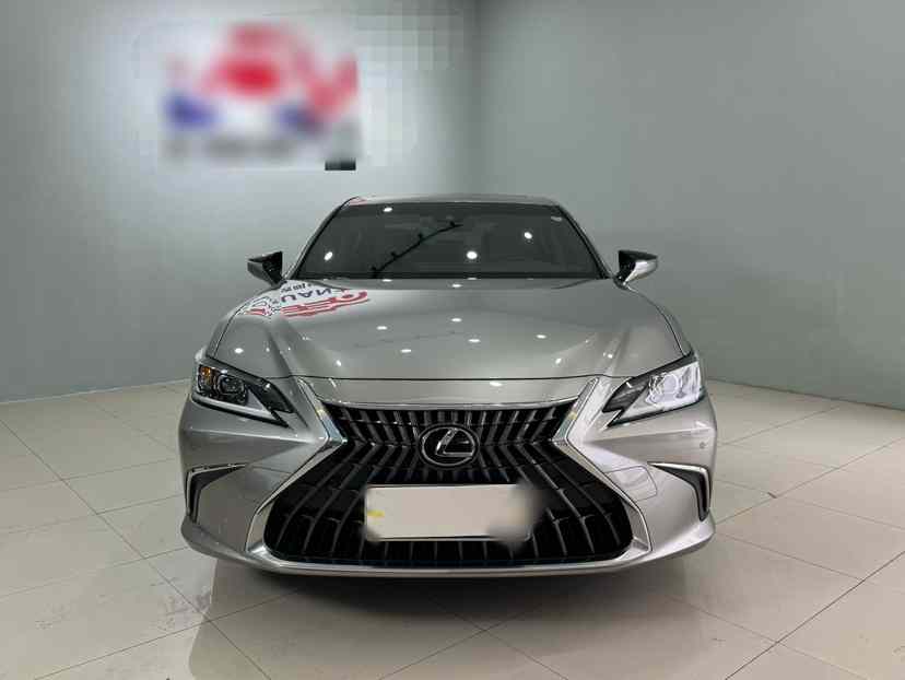 雷克萨斯ES 2023款 200 卓越版(5)