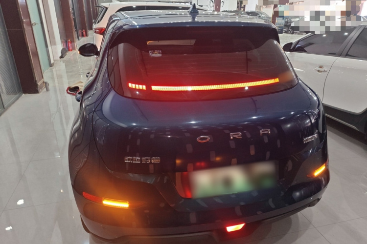 欧拉好猫 2021款 400km标准续航 维纳斯版 三元锂车身外观6