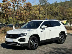 大众 探岳 2021款 330TSI 两驱3周年限量版