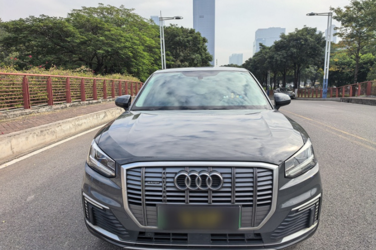 奥迪Q2L e-tron 2019款 Q2L e-tron 纯电智酷型车身外观6004