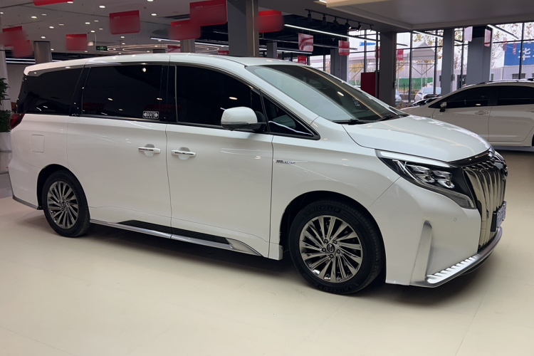 广汽传祺 传祺M8 2021款 大师系列 390T 至尊版车身外观6002