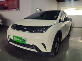 比亚迪 海豚 2023款 420km 时尚版