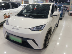 比亚迪 海鸥 2023款 活力版