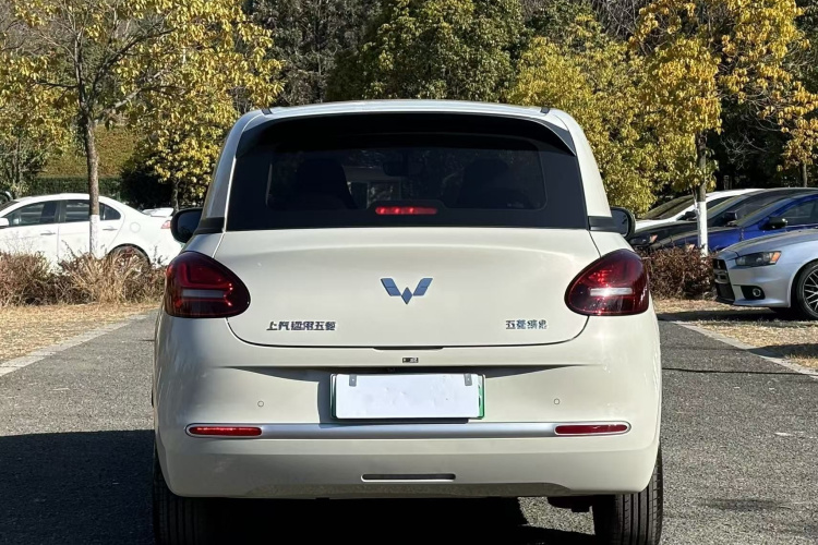 五菱汽车 五菱缤果 2023款 333km 快享款车身外观6005