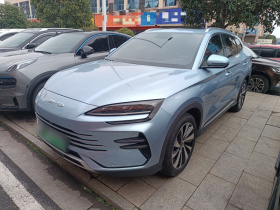 比亚迪 宋PLUS新能源 2023款 冠军版 DM-i 110KM 旗舰型