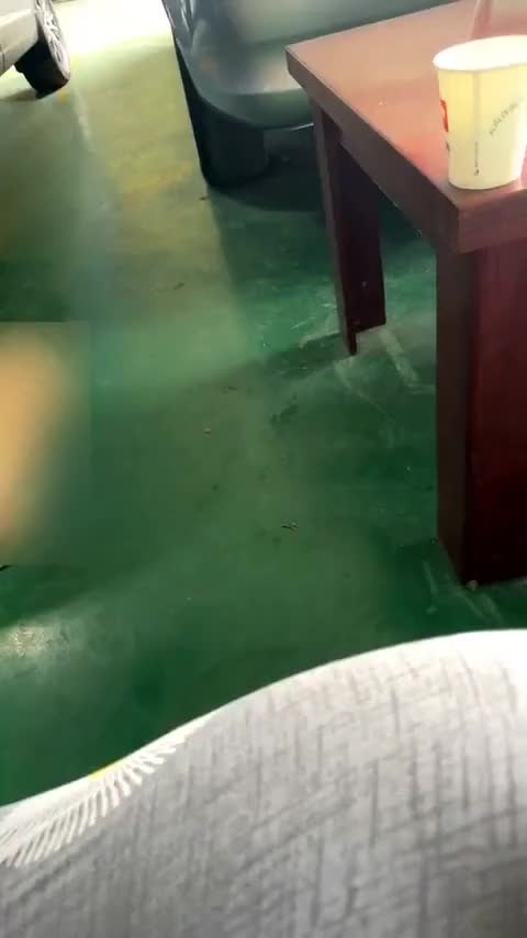 东风风行 菱智M5EV 2020款 长航版 豪华型 7座讲解1