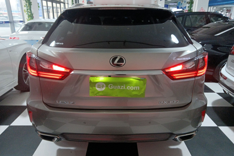 雷克萨斯RX 2016款 300 四驱典雅版 国V车身外观6