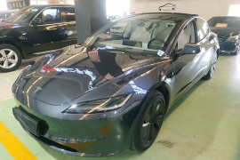 特斯拉 Model 3 2023款 后轮驱动版