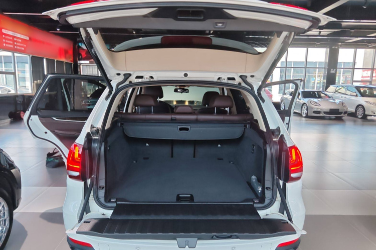 宝马X5(进口) 2017款 xDrive35i 典雅型局部细节23