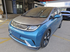 比亚迪 海豚 2021款 401km 骑士版