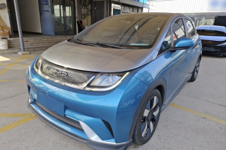 比亚迪 海豚 2021款 401km 骑士版