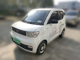 五菱汽车 宏光MINIEV 2022款 轻松款 磷酸铁锂