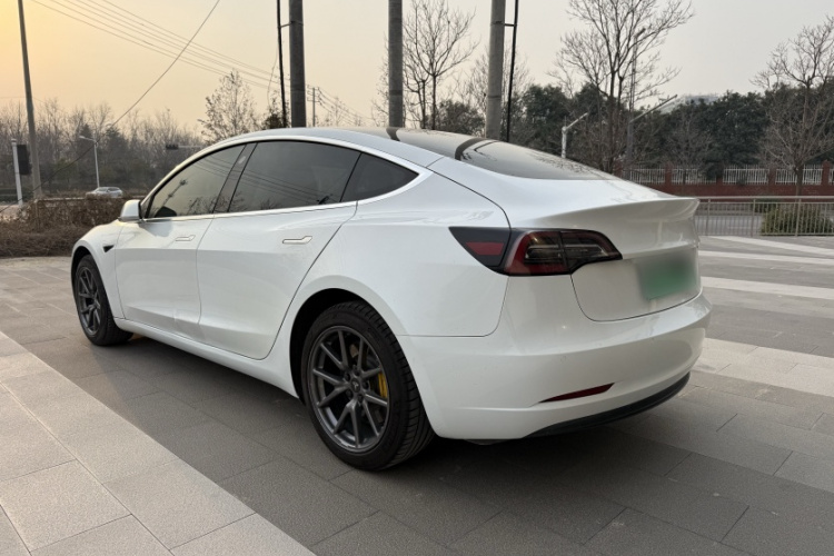 特斯拉 Model 3 2019款 标准续航后驱升级版车身外观6006