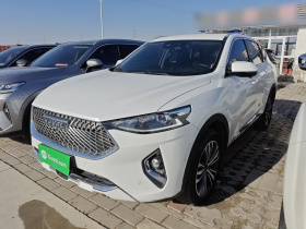 哈弗F7 2021款 2.0T 四驱i悦
