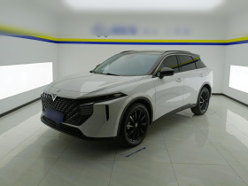 启辰大V 2021款 260T 天王版