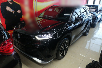丰田 皇冠陆放 2021款 2.5L HEV四驱尊贵版